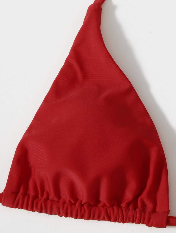 Triangle Bikini Set With Cover Up Skirt