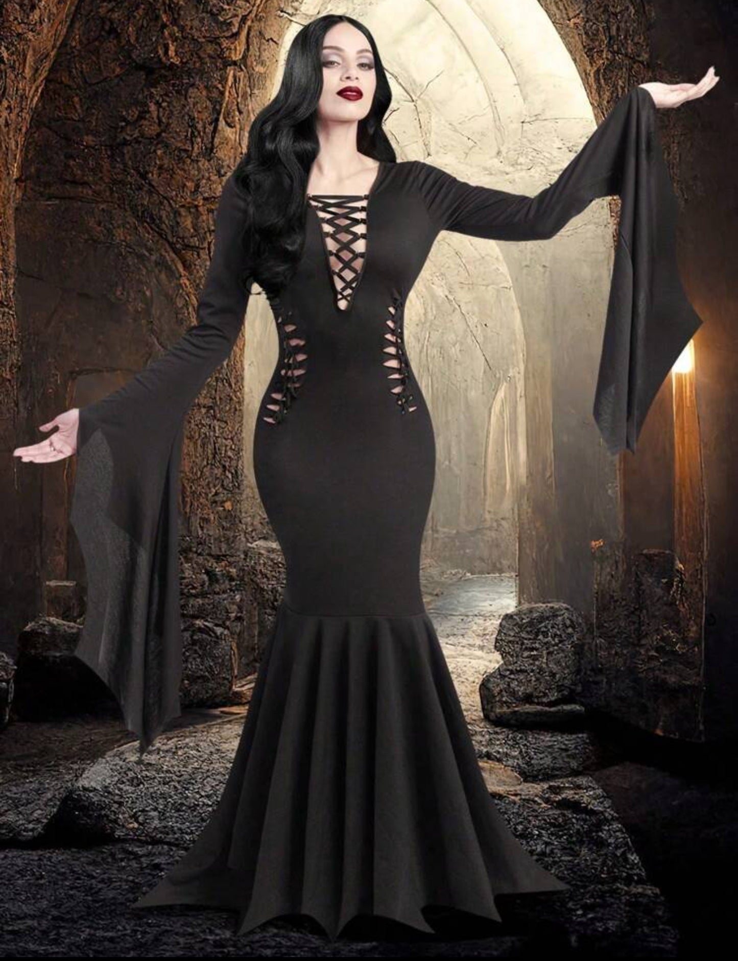 Vintage Gothic Costume (Morticia Adams)